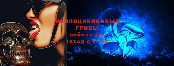стаф Абдулино