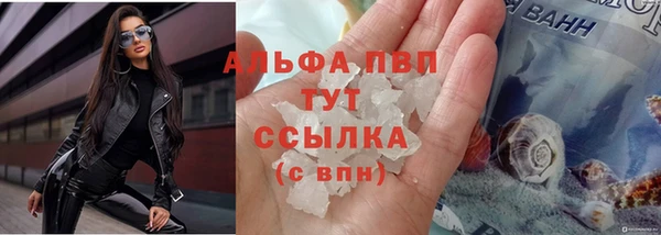 стаф Абдулино