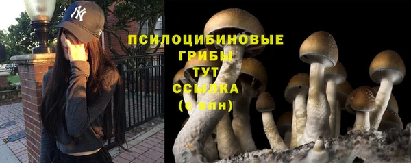jwh Абаза